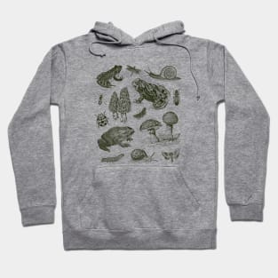 Biology Frogs, Snails, Moths, Mushrooms, Vintage Goblincore Universe Hoodie